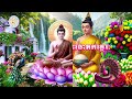 ៥៩. ជីវប្រវត្តិព្រះធោតកត្ថេរៈ
