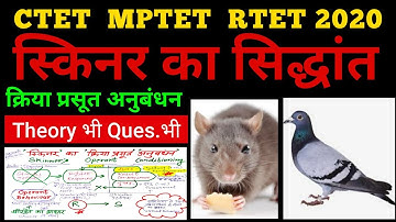 स्किनर का क्रिया प्रसूत अनुबंधन सिद्धान्त | Skinner Operant  Conditioning | CTET RTET MPTET 2020