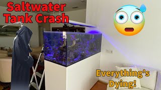 Saltwater Tank crash and restart