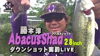 藤木淳のアバカスシャッド2.8インチのダウンショット実釣