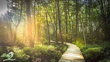 3 Hours of Beautiful & Relaxing Fantasy Music | Harp & Flute