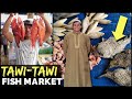 CHEAPEST PHILIPPINES FISH MARKET? AND WILD! - Muslim Mindanao, Tawi-Tawi