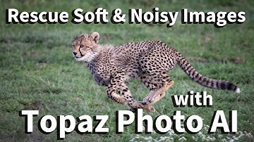 Topaz Labs Photo AI  |  Saving noisy and soft images from the trash bin. #topazlabs, #lightroom