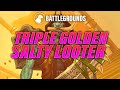 Triple Golden Salty Looter (and 2 Golden Hoggarrs) | Dogdog Hearthstone Battlegrounds