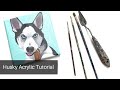 Husky Painting Tutorial in Acrylics