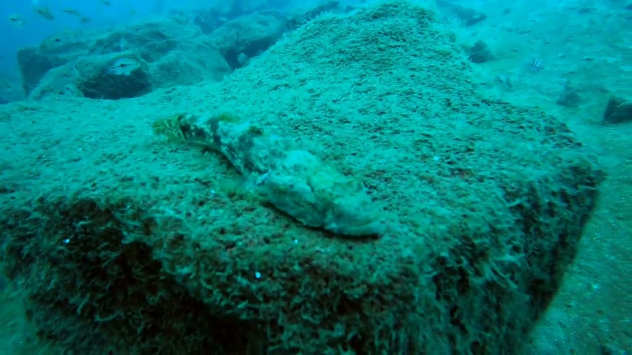 Laguna de Apoyo - Nicaragua Diving
