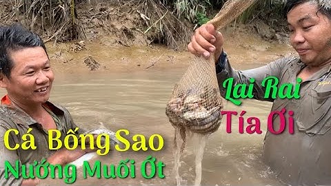 Thục Cá Bống Sao về nướng muối ớt lai rai miền tây kể chuyện nghề bà cậu | Cù Lao Dung Vlogs #164