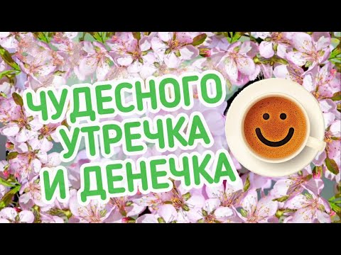 Чудесного Утречка 🌹 🌞 Мира Вам! С Добрым Утречком Хорошего Дня Открытки