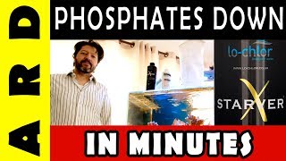 Bringing phosphates down in minutes with Lochlor StarverX