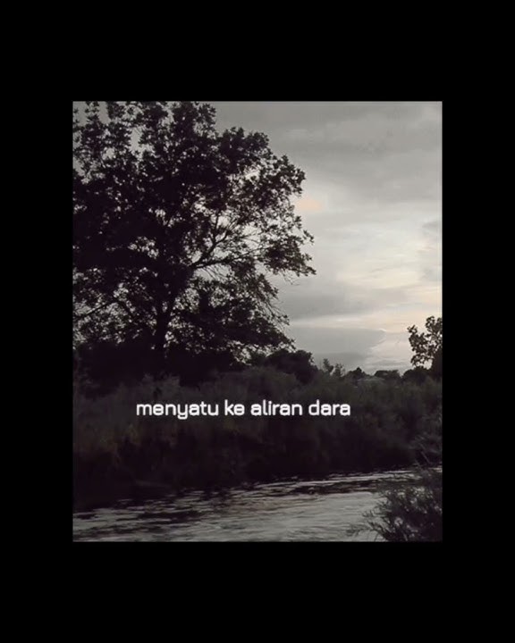 Tak'kan Hilang (Status WA) #shorts #short #shortvideo #storywa #story  #statuswhatsapp