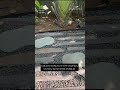 Pathway out of Monoliths, Stepping Stones and Pebbles at our Client's Place in Alibag, Maharashtra