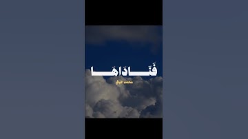 القارئ العملاق الشيخ محمد الليثي #القران_الكريم #اكسبلور #المنشاوي #duet #القارء #دويتو #تلاوات