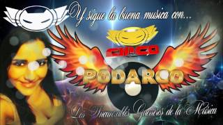 Video thumbnail of "ponchito de colores - GRUPO PODARGO 2017"