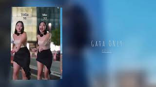 Gata Only Tik Tok Compilation Ft Leah Halton