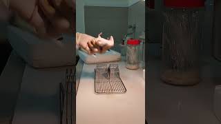 Miniature