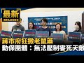 防疫措施與老鼠問題