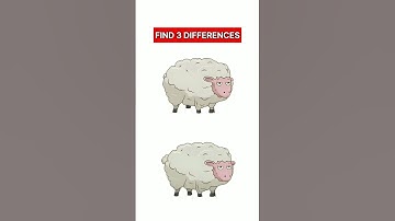 Find 3 Differences #115