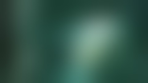 Ulna   radius nailing   2002