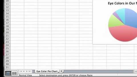 Displaying Qualitative Data on Excel for Mac