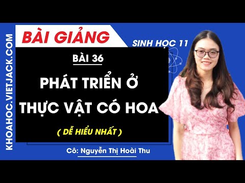 Video Phát triển ở thực vật có hoa - Bài 36 - Sinh học 11 -... - YouTube