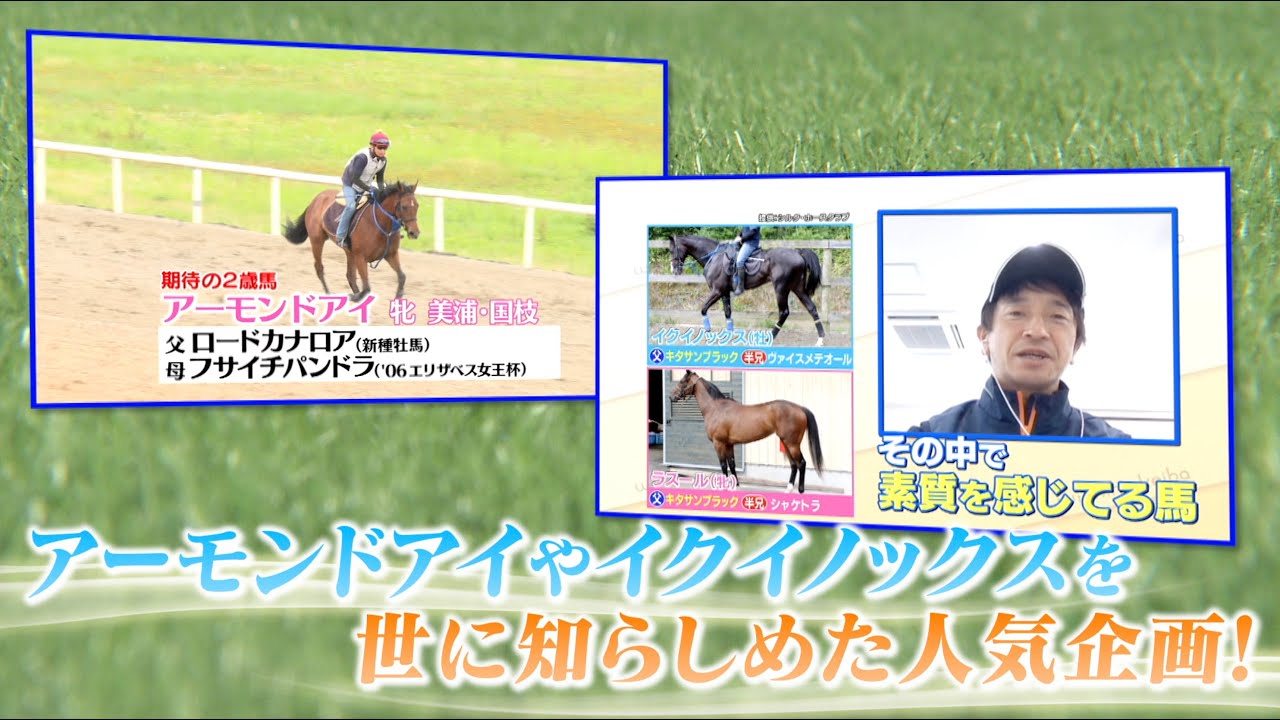 【期待の2歳馬】ノーザンファーム天栄SP第2弾！カリスマ場長が推薦する未来のスターホースとは？ ｜ウイニング競馬