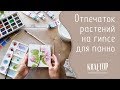 Отпечаток растений на гипсе для панно. Мастер-класс. Plaster flowers. Tutorial