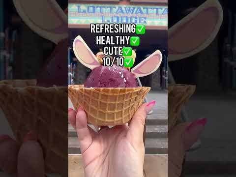Best Disney World Park