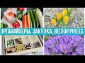 Zero waste закупка. Наводим порядок: организация хранения мелочей. Весна! #PixelOfLife