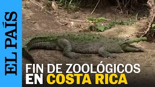 COSTA RICA | Cierran los zoológicos estatales en Costa Rica | EL PAÍS
