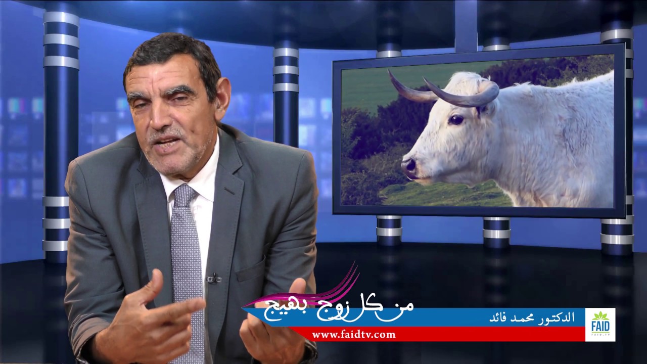 من كل زوج بهيج | مقدمة عامة | الدكتور محمد فائد