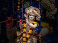 jiski naiya sambhale Kanhaiya #viralvideo#viralvideo#radheshyam #krashna#8000subscribers@YouTube