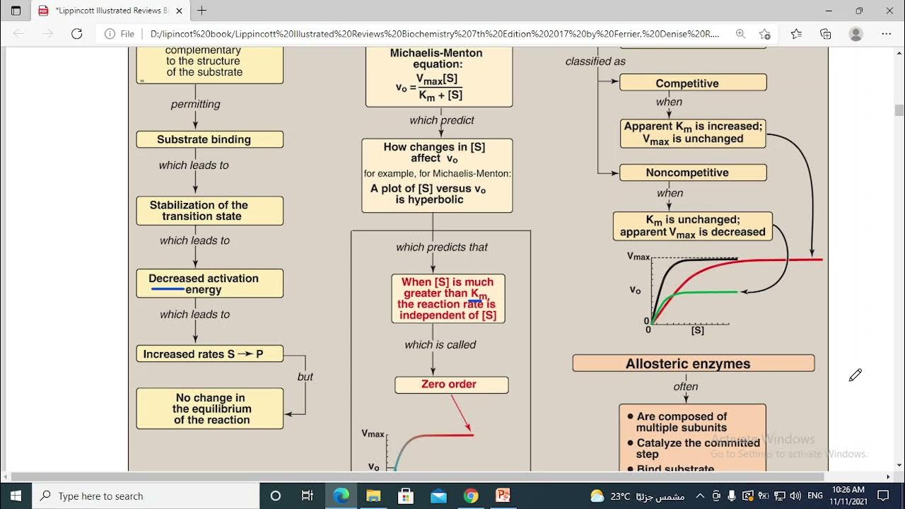 102 enzyme concept map YouTube