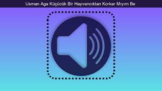 Usman Aga Küçücük Bir Hayvancıktan Korkar Mıyım Be