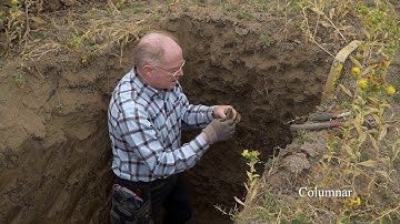 Soil Structure Part 1: Identifying - English
