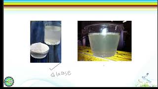 Physical Characteristics of Water - Solids Types #environmental_engineering