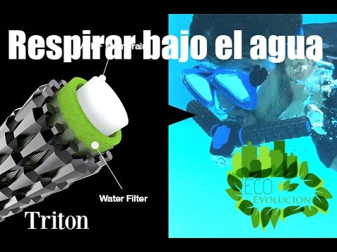 Video: ¿Puede un tritón respirar bajo el agua?