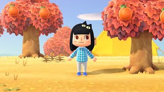[Animal Crossing: New Horizons] 드디어 집이 생겼다냐! (๑˃̵ᴗ˂̵)و とうとう家ができたにゃ! (๑˃̵ᴗ˂̵)و