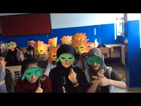7.sınıf İngilizce 4.ünite wild animals rap song