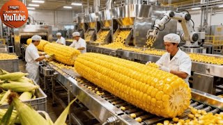 Inside a Modern Popcorn Factory: From Corn to Crunchy Buttered Popcorn (The Whole Process)