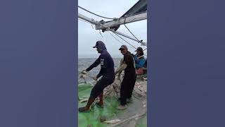 Dermayu papua KM AT (Aneka teknik)