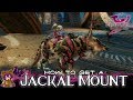 Guild Wars 2 - How to get a Jackal Mount