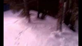 Ricostruzione Caduta