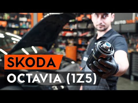 Hvordan bytte oljefilter og motorolje der på OCTAVIA (1Z5) [AUTODOC-VIDEOLEKSJONER]