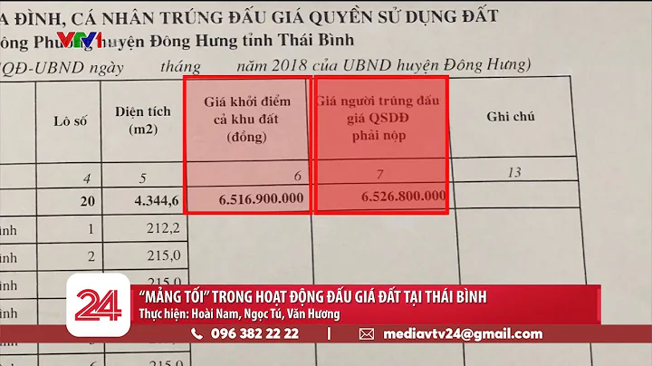 Cng ty ng Dng  lng on u gi t  Thi Bnh nh th no? | ...