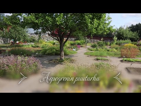 Video: Toronton kasvitieteellinen puutarha: täydellinen opas