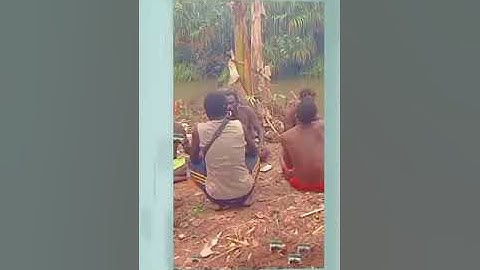 lagu kamoro