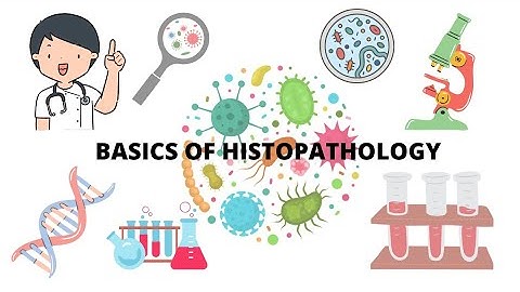 Histopathology | Tissue Processing in histopathology laboratory | Histopathology Basic Steps