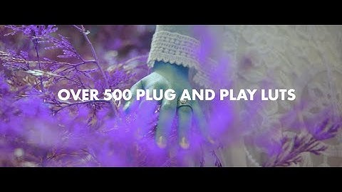 The BEST Cinematic LUTS for Premiere Pro and Final Cut Pro: Over 500 Colors!