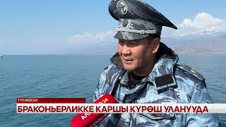 видео: Браконьерликке каршы күрөш уланууда  картинка: Браконьерликке каршы күрөш уланууда