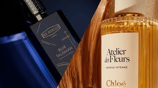 Новые версии популярнейших ароматов: Cedrus Intense Chloé и Blue Talisman Extrait Ex Nihilo